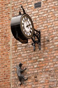 5449310206_ece6cbf337_b