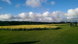 IMAG0902
