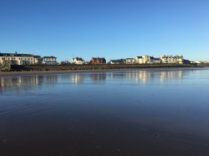 IMG_1176