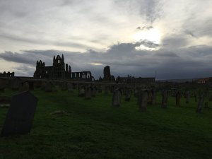 IMG_1238