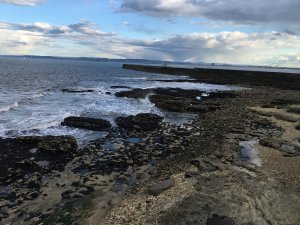 IMG_4095