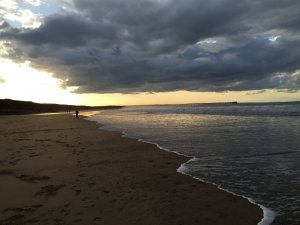 IMG_6788