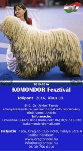14797-komondor-fesztival