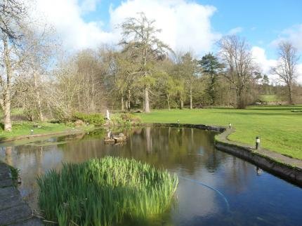 shieldhill-castle-hotel-biggar_191220141603235695