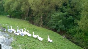 WP_20160802_17_43_13_Pro